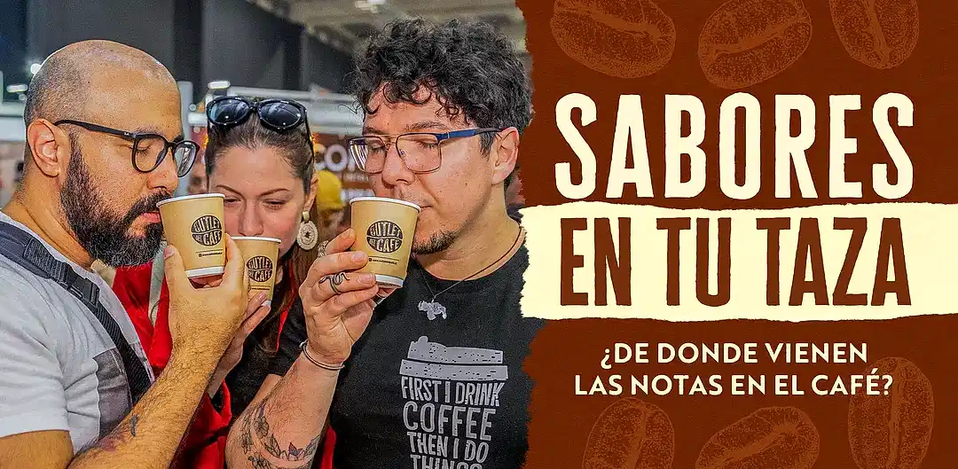 Donde nace el sabor: la verdad escondida en cada grano de café