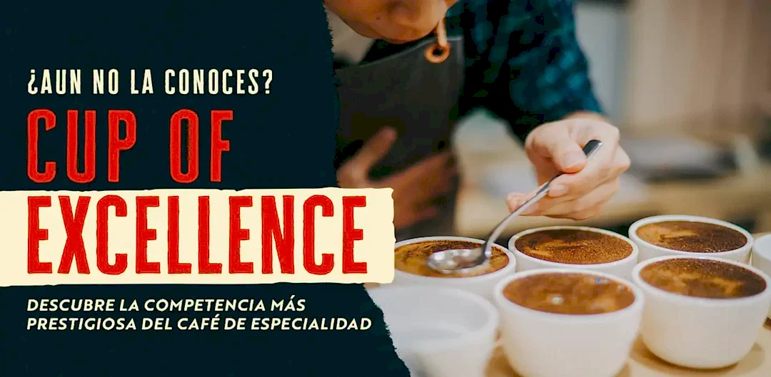 Cup of Excellence: La más prestigiosa competencia del café de especialidad