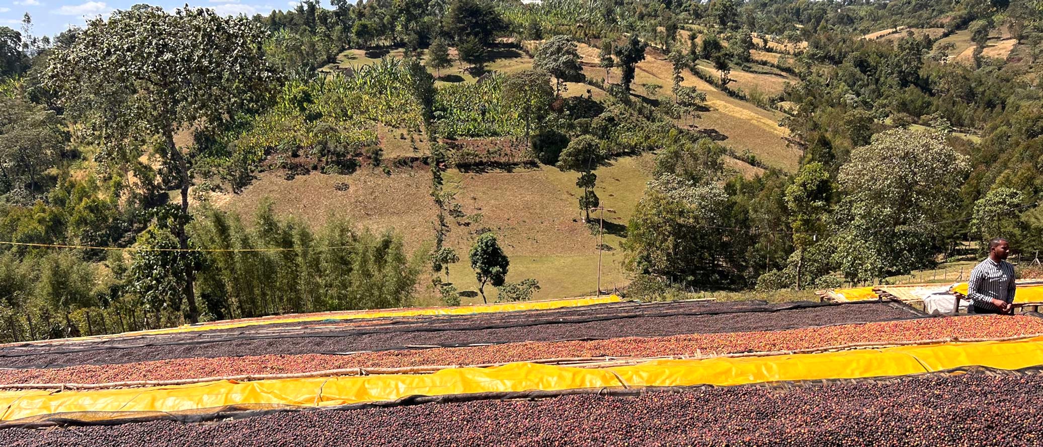 Etiopia Sidamo