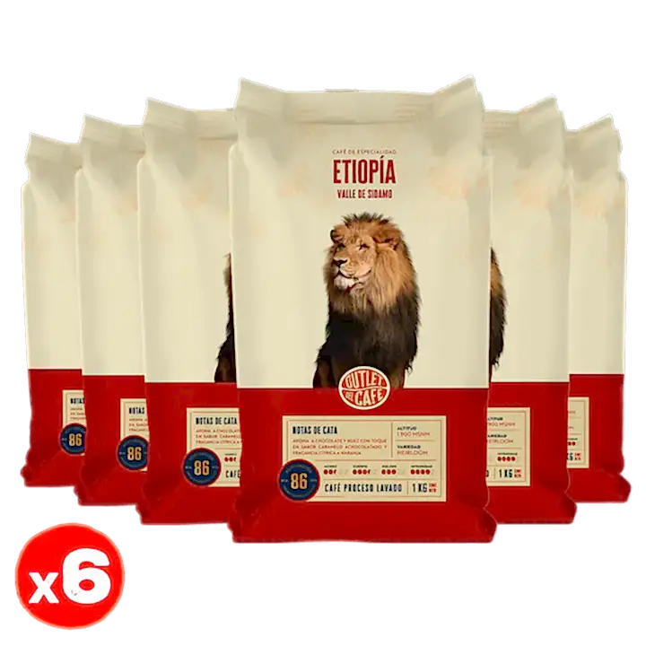 Oferta Sólo Grano - Etiopía Sidamo Envasado Automático