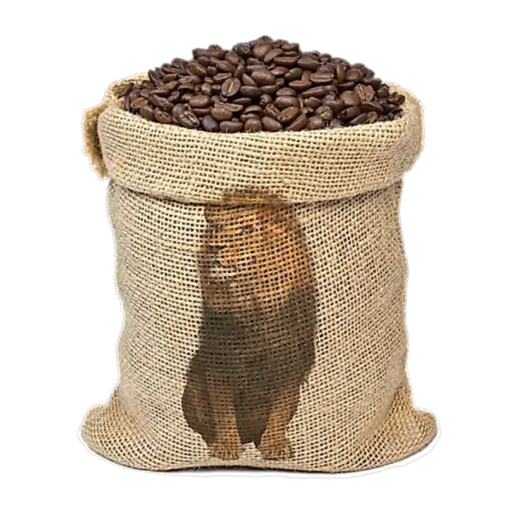 Etiopia Sidamo - 5 kilos - Granel
