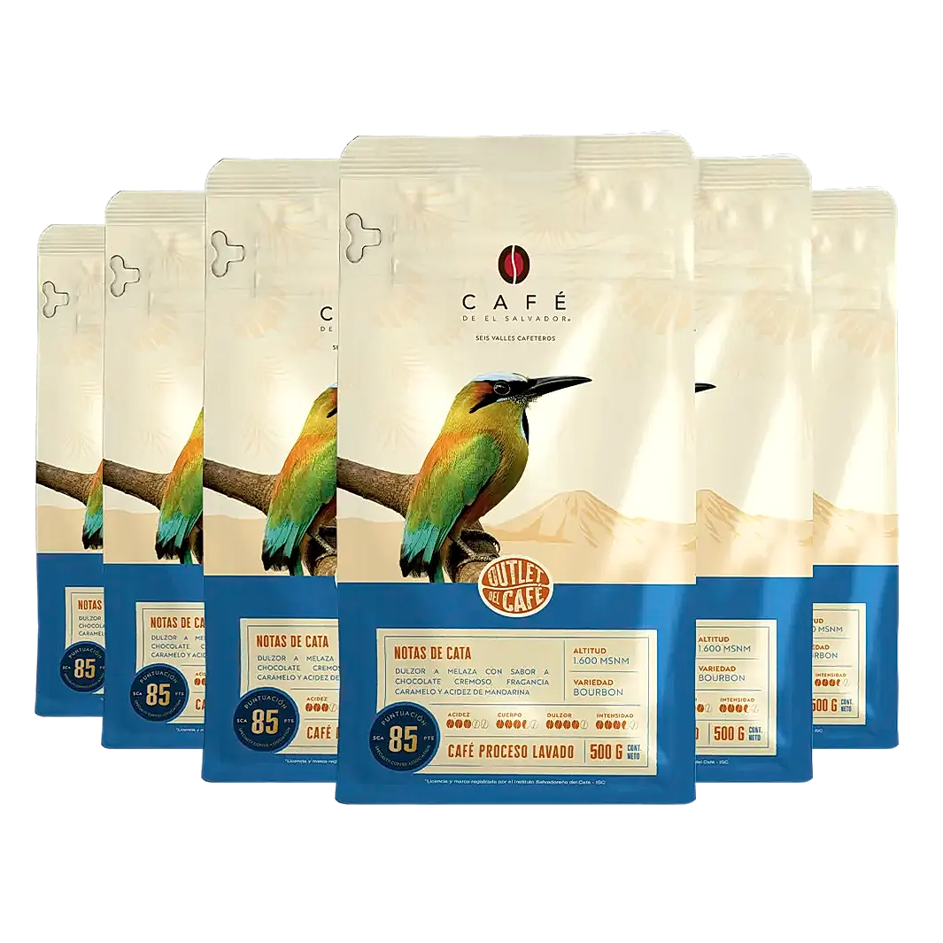 Caja El Salvador Chinameca - 6 x 500 g