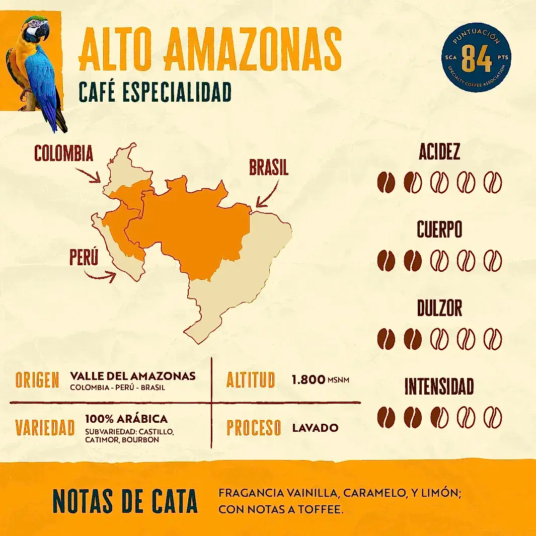 Pack - 4 Kilos - Experto Cafetero