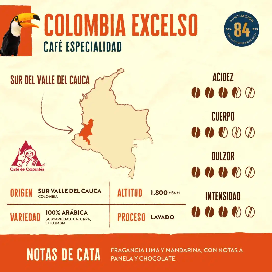 Pack - 4 Kilos - Experto Cafetero