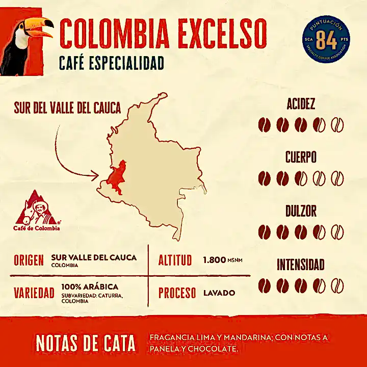 Pack - 4 Kilos - Experto Cafetero