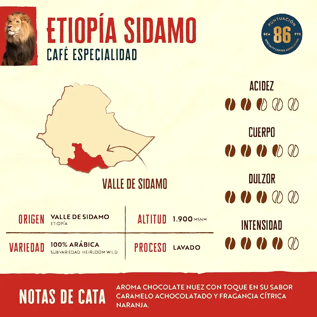 Pack - 4x 500g - Fiesta Cafetera