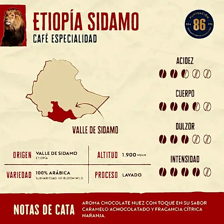 Pack - 4x 500g - Fiesta Cafetera