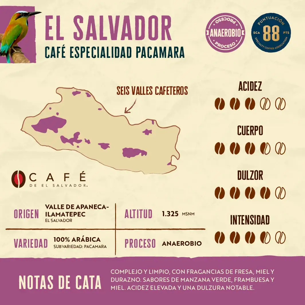 Triple Pack 500 g - Sabores de El Salvador