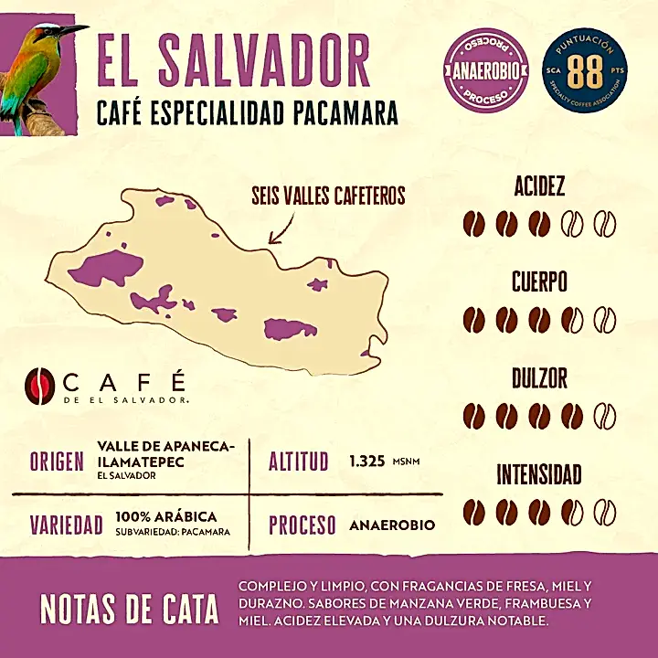 Triple Pack 500 g - Sabores de El Salvador