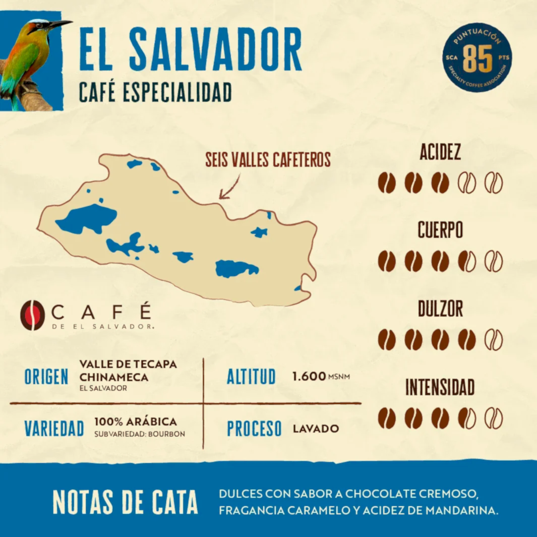 Pack - 4 Kilos - Experto Cafetero