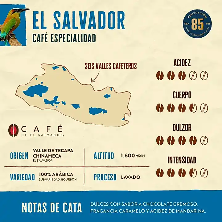Pack - 4 Kilos - Experto Cafetero