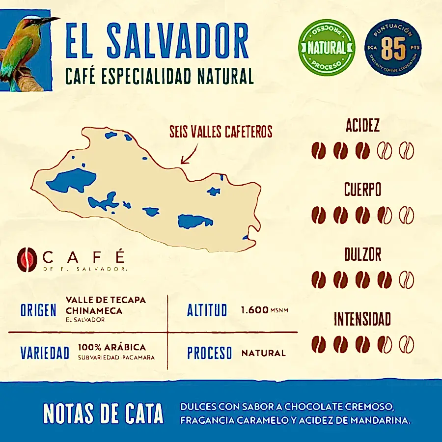 El Salvador Pacamara Natural - 5 kilos - Granel
