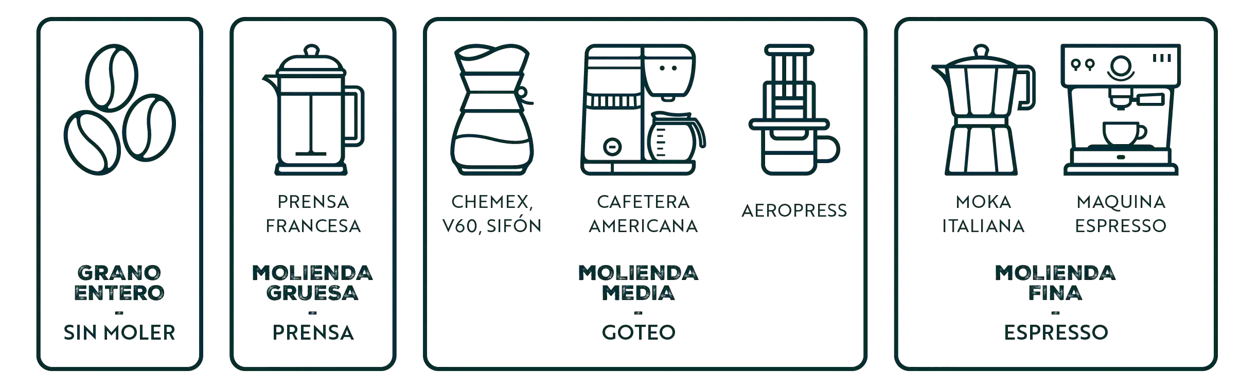 ¿Qué molienda elegir?